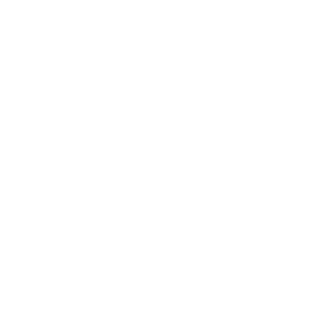 OnSight Logo